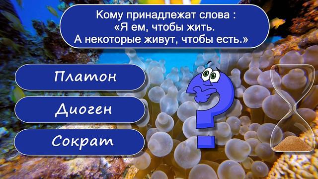 Проверьте свои знания. Тесты на эрудицию и общие знания. Выпуск 19 смотреть онлайн