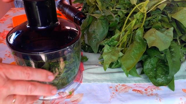 Салаты с Эстрагоном