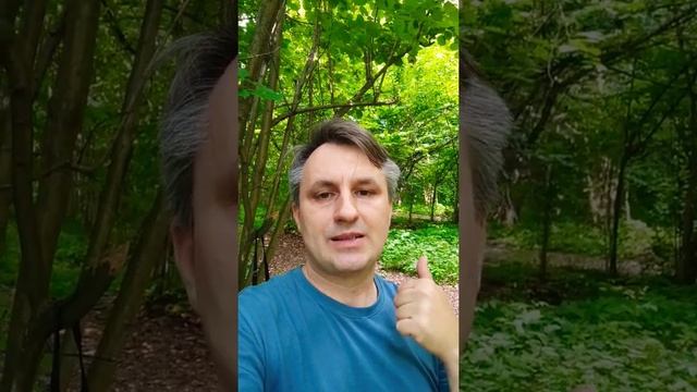 Нельзя заказывать многостраничный сайт! смотреть онлайн