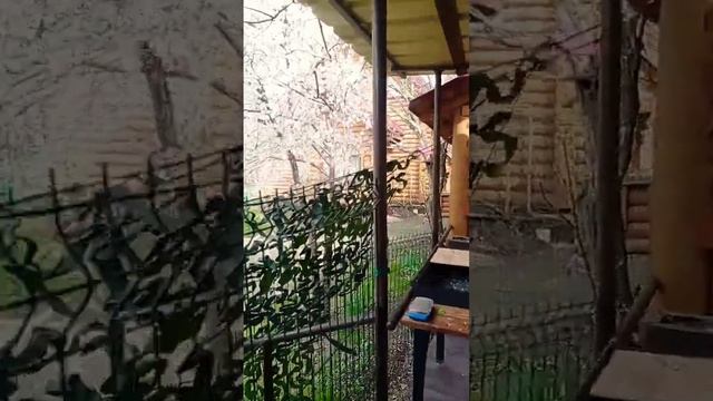 #баня на дровах и #казачья #застава 4 апреля 2023г смотреть онлайн