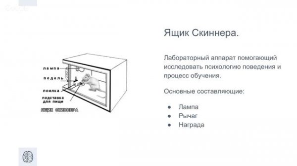 Урок 1  Основы Геймдизайна