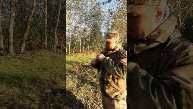 Golden Roar , манки на гуменника, серого и белолобого гуся! смотреть онлайн