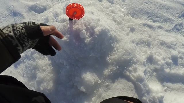 ЖИВЕЦ ПРОТИВ РАТТЛИНА! Рыбалка на щуку, ловля на жерлицы смотреть онлайн