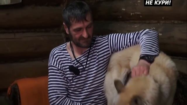 Охота на кабана с лайкой. Охота с лайкой . 2018 смотреть онлайн