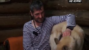 Охота на кабана с лайкой. Охота с лайкой . 2018