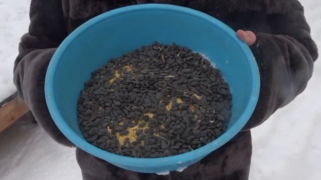 "Покормите птиц зимой" смотреть онлайн