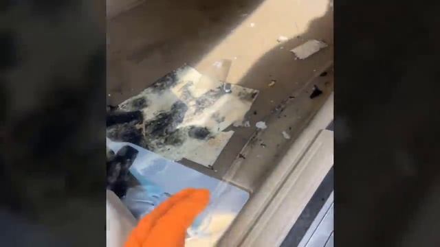 Феерические идиоты за работой. Сборник приколов 2022. Ep176 смотреть онлайн