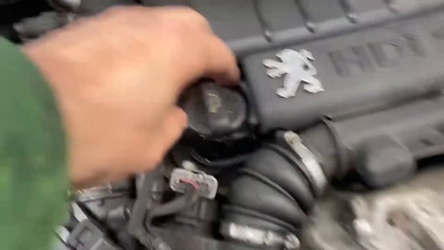 Разборка Peugeot - 307, 1.6 HDI (VIN: VF33C9HZC84521147) KT55KNR