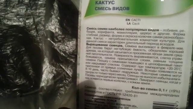 Пахиподиум ламера и другие кактусы cf prod смотреть онлайн