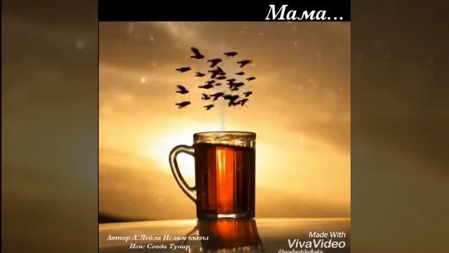 Мама /Всю жизнь я буду благодарна/Автор:А.Лейла Ислам кызы/исп:Севда Тунар/Sevda Tunar смотреть онлайн