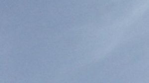 #Pigeons.Как глистогонить голубей.