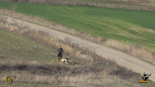 FMG Octavos Grupo Mixto en Villoslada 2018, 4k / Greyhound Championship смотреть онлайн