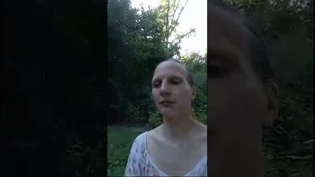 Обработка шерсти тонкорунных пород. Как мыть и обрабатывать шерсть мериноса смотреть онлайн