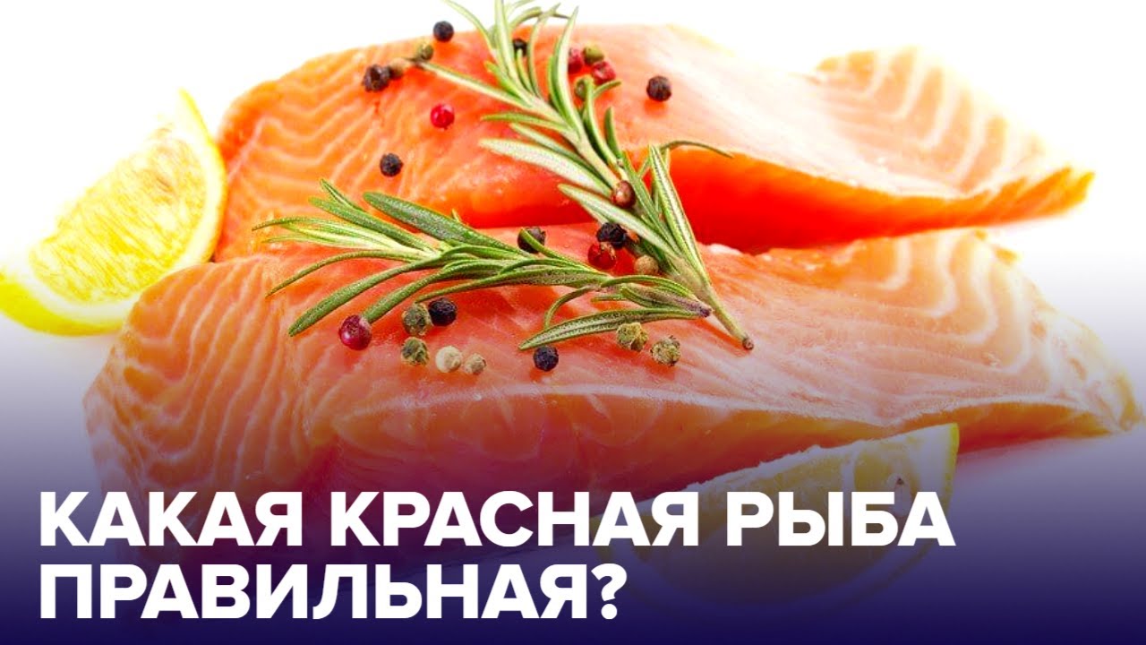 Форель, семга, лосось, горбуша – какая КРАСНАЯ РЫБА самая полезная? смотреть онлайн