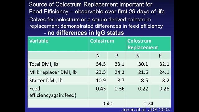 Successfully Developing A High-Performing Heifer