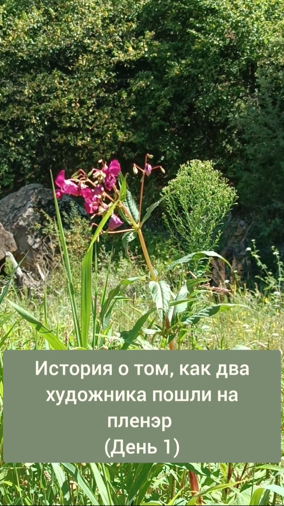 Немного пленэра для вдохновения ко всякому фэнтезишному зверью #shorts #арт #пленэр