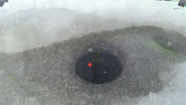 РЫБАЛКА НА ЛЕНЕВСКОМ ВОДОХРАНИЛИЩЕ! В ПАЛАТКЕ НА ШЕСТИ МЕТРАХ! ДОЖДАЛСЯ! смотреть онлайн