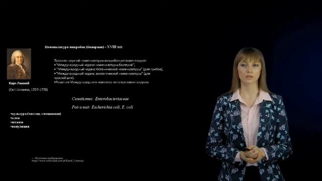 Особенности систематики и строения бактерий смотреть онлайн