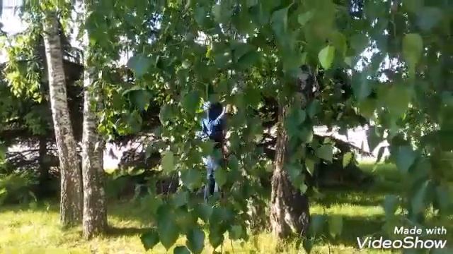 Стихотворение - песня «Шум дождя» смотреть онлайн