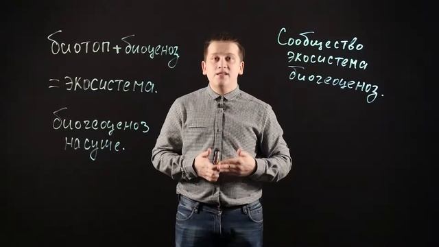 Биология 9 класс: Сообщество, экосистема, биогеоценоз и их характеристики. смотреть онлайн