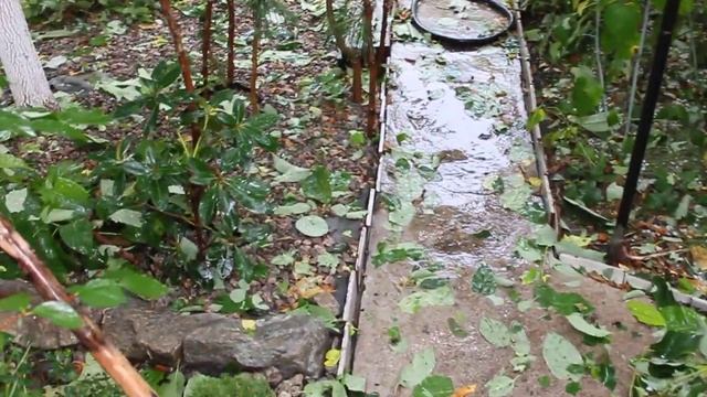 Град с дождем 28 июля 2021 смотреть онлайн