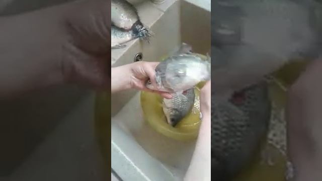 КАК быстро почистить карасей! смотреть онлайн