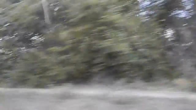 Таинственные таланты