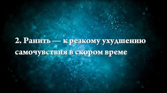 К чему снится белка - Онлайн Сонник Эксперт смотреть онлайн