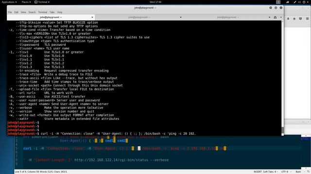 92. Executing Code Remotely with Shellshock Kali linux смотреть онлайн