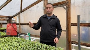 3 обработки Тилтом для получения крепкой рассады дыни.