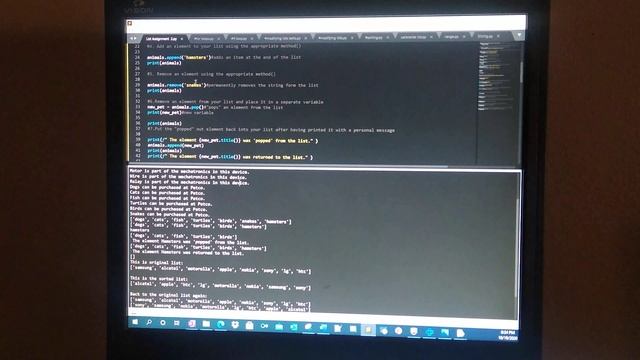 Modifying Lists in Python смотреть онлайн