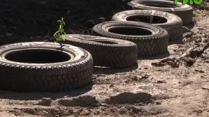 Власти Самары намерены привести в порядок поселок Береза