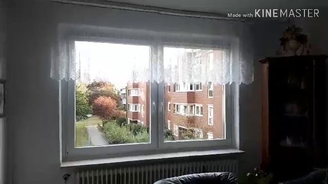 Летний ЗАЛ ?превратился в осенний.?.. ОСЕНЬ добро пожаловать ???18.09.2019 смотреть онлайн