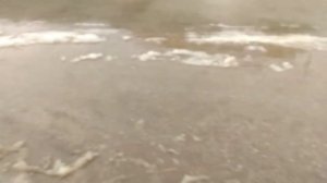 Как установить ЛЭД ПТФ на лада гранта кросс