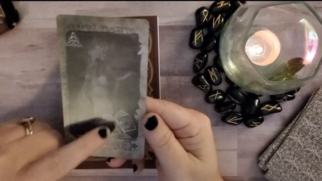 Divine Muses Oracle First Impressions & Complete Walk Through смотреть онлайн