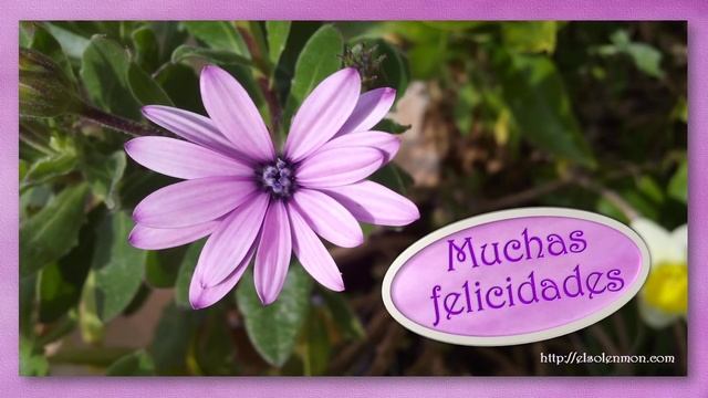 FELICITACIÓN PARA MARÍA (1) смотреть онлайн