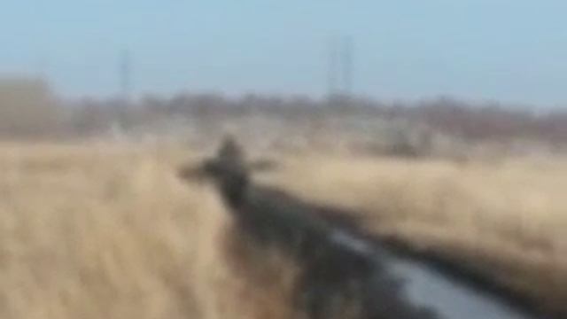 Самодельный полноприводный квадроцикл из ВАЗ 2109 с Новокузнецка 3 смотреть онлайн