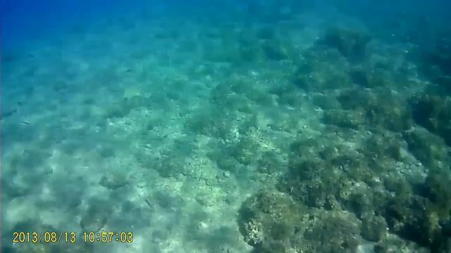 Brela Punta Rata Beach 2013 смотреть онлайн