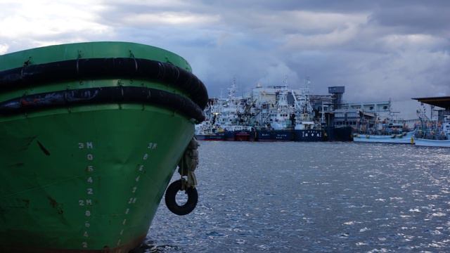 ドラえもん..Harmonica Tokunaga смотреть онлайн