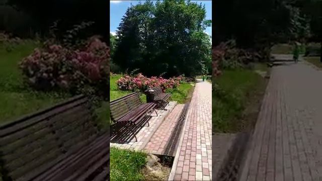 "Долина Роз " Кисловодск смотреть онлайн
