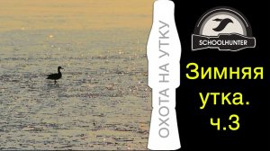 Зимняя утка, охота с манками. Часть 3