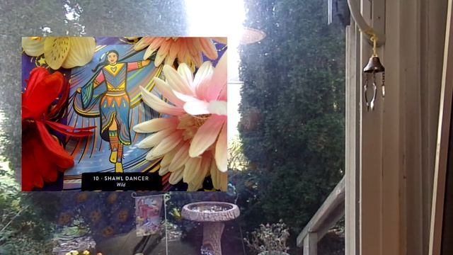 A Healing Message for all who need uplifting energy. Shawl Dancer reading of sacred medicne. смотреть онлайн