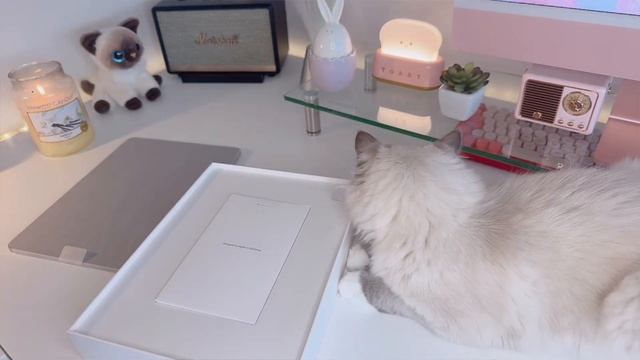 iPad Pro 12.9 UNBOXING / first impression on iPhone 15 line up смотреть онлайн