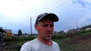 Забой поросенка породы пьетрен возрастом 6.5 месяцев / соотношение сала к мясу у породы пьетрен