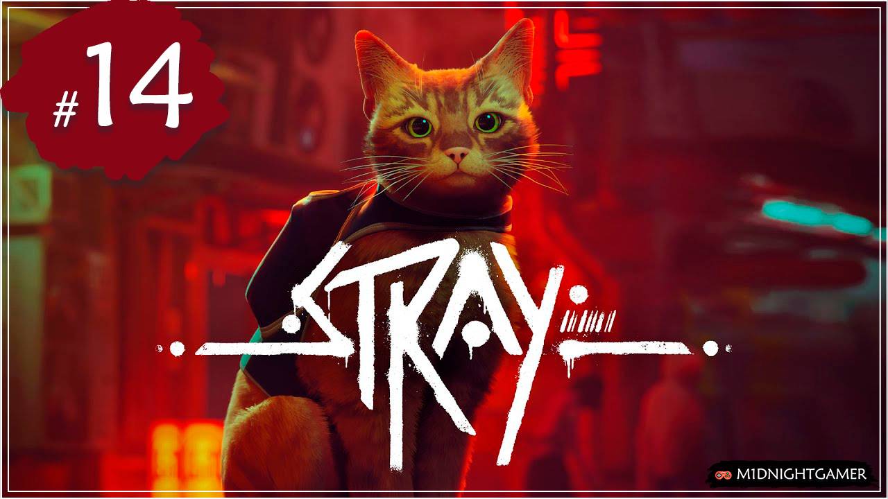 Stray ➤ #14 ➤ Центр управления | ФИНАЛ смотреть онлайн