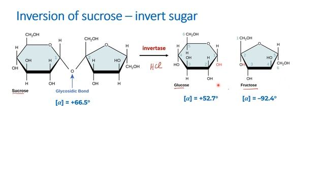 IIT JEE ADVANCED 2023 -Disaccharide inversion of sucrose - UG TRB syllabus -properties of sucrose смотреть онлайн