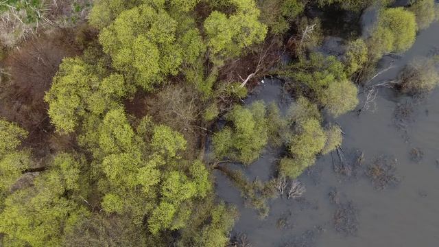 Затопленная деревня Горошково. Можайское водохранилище. Классное место для рыбалки. смотреть онлайн