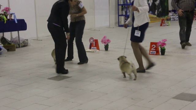 Сравнение на ЛЮ смотреть онлайн