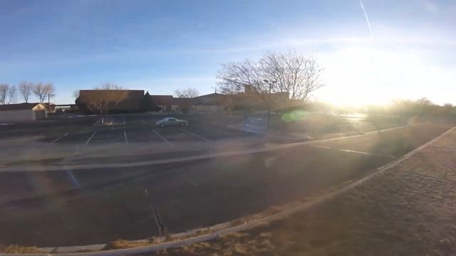 Buzz Off Jonny - Figaro Figaro Figaro