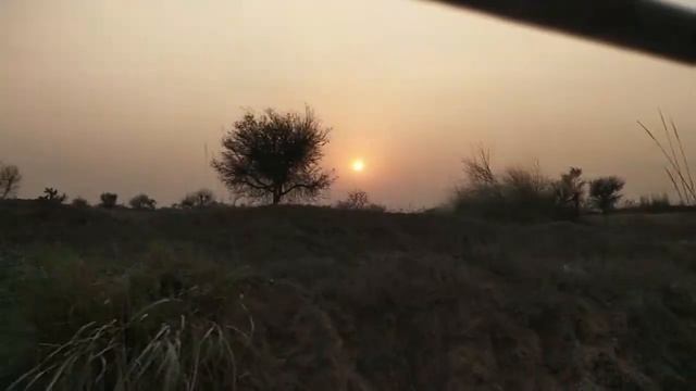 Стук колес поезда для сна, вид из окна поезда/ Шум поезда для релакса смотреть онлайн